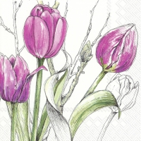 Napkins 25x25 cm - COLOURFUL TULIPS pink