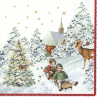 Napkins 25x25 cm - ANNUAL CHRISTMAS SNOW V&B