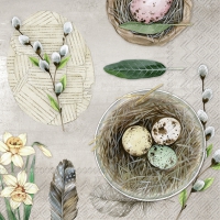 Serviettes 25x25 cm - EGGS AND FEATHERS nature