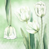 Napkins 25x25 cm - TULIPANA green