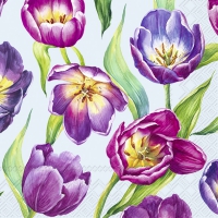 Servilletas 25x25 cm - TULIP MEADOW light blue