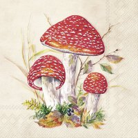 Servilletas 25x25 cm - TOAD cream