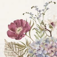 餐巾25x25厘米 - BELLES FLEURS cream