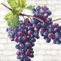 餐巾25x25厘米 - RED GRAPES cream