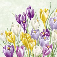 Napkins 25x25 cm - BLOOMING CROCUS light green