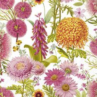 Napkins 25x25 cm - MARESA