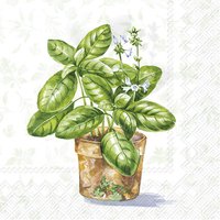 Napkins 25x25 cm - AROMATIC HERBS light green