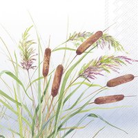 Serviettes 25x25 cm - REED