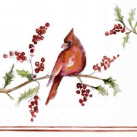 Napkins 25x25 cm - CHRISTMAS CARDINAL