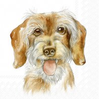 Servietten 25x25 cm - FRITZ