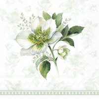 Serviettes 25x25 cm - CLASSIC CHRISTMAS ROSE green