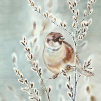 Serviettes 25x25 cm - WINTER MELODY blue green