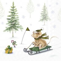 餐巾25x25厘米 - WINTER SNOW FUN