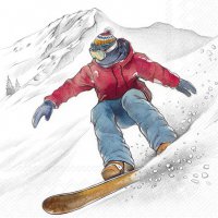 餐巾25x25厘米 - BLACK SKI RUNS