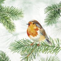 Napkins 25x25 cm - CHARMING ROBIN green