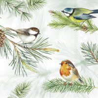 Napkins 25x25 cm - CHARMING BIRDS green