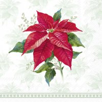 Napkins 25x25 cm - CLASSIC POINSETTIA green