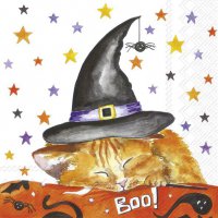 Napkins 25x25 cm - WITCHS LITTLE HELPER