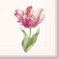 Serviettes 25x25 cm - DRISELLE cream