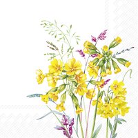 Serviettes 25x25 cm - CABRILLO