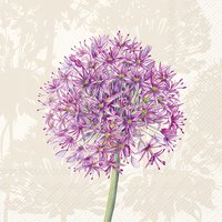 Serviettes 25x25 cm - ALLIUM cream