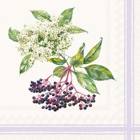 Serviettes 25x25 cm - NATURAL ELDER cream