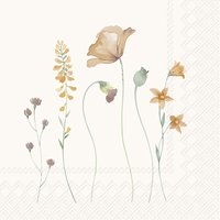 Serviettes 25x25 cm - CRISTELLE cream