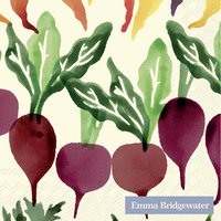 Napkins 25x25 cm - SPONGED VEG cream