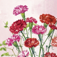 Napkins 33x33 cm - BUNCH OF CARNATIONS rose