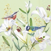 餐巾33x33厘米 - BIRDS IN LILIES light green