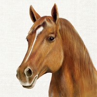 Servietten 33x33 cm - FARM HORSE cream