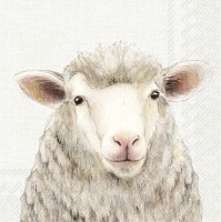 Serviettes 33x33 cm - FARM SHEEP cream