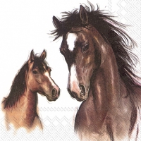 Tovaglioli 33x33 cm - AMY AND LUCY white