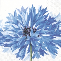 Servietten 33x33 cm - SORA
