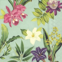Napkins 33x33 cm - FLOWERS OF PARADISE mint