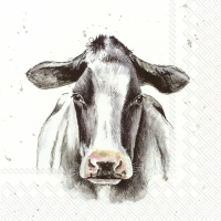 餐巾33x33厘米 - FARMFRIENDS COW
