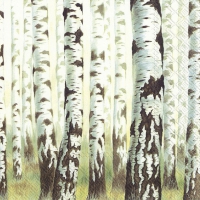 Napkins 33x33 cm - MAGIC TREES
