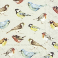 餐巾33x33厘米 - THE BIRDS cream