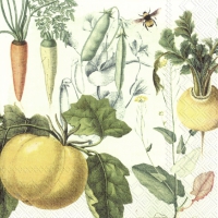 Napkins 33x33 cm - CULINARIX HERBS