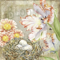 Servilletas 33x33 cm - AUGUSTA