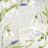Serviettes 33x33 cm - LITTLE SNOWDROPS linen