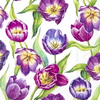 Napkins 33x33 cm - TULIP MEADOW white