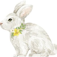 打孔餐巾纸 - BUNNY