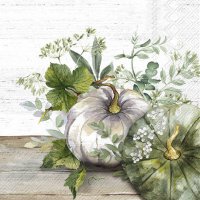 Servietten 33x33 cm - GREEN AND WHITE PUMPKIN cream