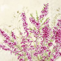 Napkins 33x33 cm - HEATHER cream