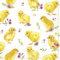 Napkins 33x33 cm - CHICKS