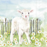 Serviettes 33x33 cm - LAMB IN THE MEADOW