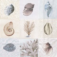 Napkins 33x33 cm - BEAUTIFUL SHELLS