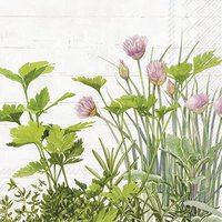 Serviettes 33x33 cm - NATURAL HERBS