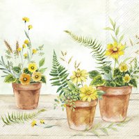 餐巾33x33厘米 - PLANT IN POTS light green